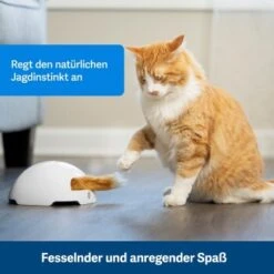 PetSafe Automatisches Katzenspielzeug Fox Den 10 PetSafe Automatisches Katzenspielzeug Fox Den -Catit Verkaufsgeschäft 038232be25f9015ce160251d628e0af5cabbc69f 1351524 de DE dbeb3a30744bbc866a12a3ecd4f619007abf0a14xn8Dpf