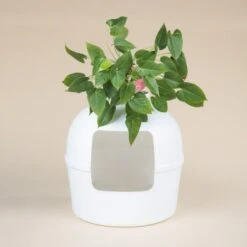 RHR Quality Katzentoilette Flower XXL -Catit Verkaufsgeschäft 045c34da52ea42a8ca93faa0ffc4384eb81e7dd2 1641853 de DE 9141ae2b51dfaf3b5b7cf3a1ab485e45a4e63ee0Obqwe6