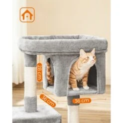 FEANDREA Kratzbaum 84cm Große Plattform -Catit Verkaufsgeschäft 04fd6e515c9475933cd668eb9fd51a4503fd9930 1483608 de DE e09e6f7a3a00d587272bac5ea235a2bc04f66ccaONKe4k