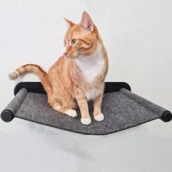 Canadian Cat Company Filz-Hängematte Für Die Wand -Catit Verkaufsgeschäft 05bff4a9f82ca17aac31ad0d578a843a03e969a6 1360996 de DE 2f7dba7fff7fd30e8ac28d61faf3072ba982a2de23tQBO