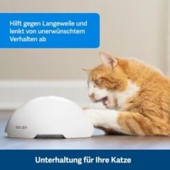 PetSafe Automatisches Katzenspielzeug Fox Den 13 PetSafe Automatisches Katzenspielzeug Fox Den -Catit Verkaufsgeschäft 08408a2d9006c3b10c605053b082403622980ada 1351524 de DE 8502feb5da21e0ab937dc8c82ecaeac4aebee886lllVcE
