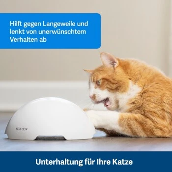 PetSafe Automatisches Katzenspielzeug Fox Den 8 PetSafe Automatisches Katzenspielzeug Fox Den – Bild 6