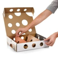 Canadian Cat Company Katzenspielzeug MagicBox -Catit Verkaufsgeschäft 142300badb79cca7ad6d02f165f6adb72822700a 1361887 de DE 0a0d8e236e46b38b19bc65d2f7a8b14b65d84da00feNa3