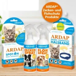 Ardap Spot-On Für Katzen S 15 Ardap Spot-On Für Katzen S -Catit Verkaufsgeschäft 178d15ac9da3c3d9fa67232babf72025c6818bc9 1150895 de DE 986a55c9a154810fd460d41d158e3ced050ed285C5pfll