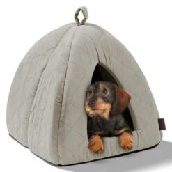 MORE Höhle Diamond -Catit Verkaufsgeschäft 1901edb64570eb8cb38c0e72458280ff138dcb40 856e9f8ef094dc77c4e2ce9e6d85768bffa721c6