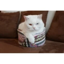 Canadian Cat Company Katzenschiff NERO -Catit Verkaufsgeschäft 1c33ff7886f1f3f346559d10f3df372c5dada126 1412667 de DE 46780a4b5da8fe052e5be00462eb02991658c41f34p9ur