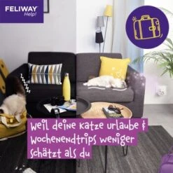 Feliway Help! 7 Tage Start-Set Zur Vorbeugung Von Stress -Catit Verkaufsgeschäft 1d89a27b4c8b60e0ea97877af16b355ca17c594e 1380136 7