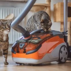 THOMAS AQUA+ Pet & Family -Catit Verkaufsgeschäft 21e8e8518abc51c946ca914e90765288e3a69832 1408595 de DE b89bf30d7c68d7291af3123da80a610e6c34da4duk7V17