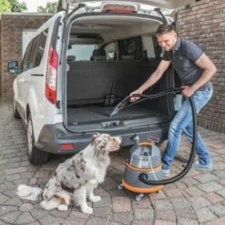 THOMAS Boxer -Catit Verkaufsgeschäft 2b38b8d6abd2c0242a46e38b7e2bf51be1bb77c9 1406732 de DE 6c3f4b0d9f9b2b78d207372e0259202804743e2eRxpvll