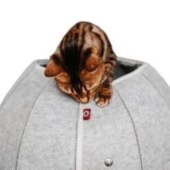 Canadian Cat Company Katzenhöhle In Kugelform S -Catit Verkaufsgeschäft 2ecb868df2d3b2cf90a9092caebd3c19caa20008 1347679 de DE 9620a1f8944edc55aec2b992d490644e015c022abD41s1