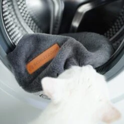 Schlitzohr Ersatzbezug Fensterbankliege -Catit Verkaufsgeschäft 31be77f1e399f6136043e21b4738926da0a2a857 1484678 de DE ef0a822967d19fb8fa7e91c1bd57dd978a972d89UwPMnu