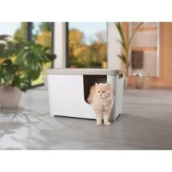 MORE FOR Katzentoilette XXL Titan -Catit Verkaufsgeschäft 331a65ecbdbda6a54304894f23caf93293414f9a 41a7dcb3b92b8da7531785b268f381c1b25bbf04