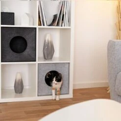 Lionto Katzenhöhle Aus Filz, Regalhöhle Hellgrau -Catit Verkaufsgeschäft 3c5d584027a6e3b26513e541aa58d28bf163eba5 1657088 de DE 08ba330c4edc4dd9925351943ddeb35e95610dc5ibJstM