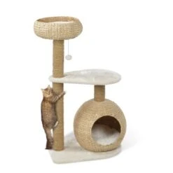 AniOne Kratzbaum Saki -Catit Verkaufsgeschäft 3ca3b648185a373e229005df7555083cfb5743b6 0675754154c521b141097c888178be1dbd0158d0