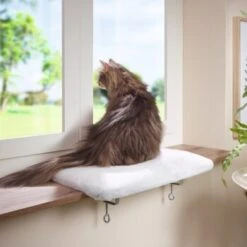 AniOne Fensterliegeplatz -Catit Verkaufsgeschäft 3ed1f86bcd38eea7f6bb469869d0ceabbf14e73e 08d7fb7b3ea8513f40155b969787349e3e9059aa