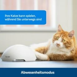 PetSafe Automatisches Katzenspielzeug Fox Den 12 PetSafe Automatisches Katzenspielzeug Fox Den -Catit Verkaufsgeschäft 436796eddc653fbc5ba6c19e00138d58f340ef52 1351524 de DE 2c07966cfa5d20e79e732d930dea56115af33e3axxjuix