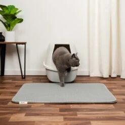 Lionto Doppellagige Katzenstreu-Matte L -Catit Verkaufsgeschäft 4396bb19d2c98d673f3e5360e11273f9f80f7fc7 1657012 de DE dff22ef02999533f13653cbf8dd630ba7757eabdQ8EdtB