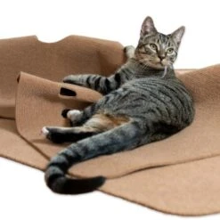Canadian Cat Company Spielteppich Für Katzen Braun -Catit Verkaufsgeschäft 446d45749f5e58cb5a7dbc00eb3558dbe40784fe 1394213 de DE 80770b9625226d955903498b97e7018485822aeeDB3L2u