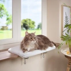 AniOne Fensterliegeplatz -Catit Verkaufsgeschäft 48b4c875f72788d493de559eab0e5688d72d5fb7 b558c550dc7f6e4c2f13fbb0d43c30b225535e90