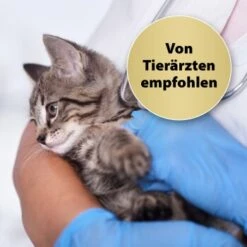 Felisept Home Comfort Beruhigungshalsband Für Katzen -Catit Verkaufsgeschäft 49f63f3eec6617dbc795d98ab15477ddca010d3a 1238279 de DE Felisept 2