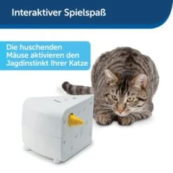 PetSafe Automatisches Katzenspielzeug Cheese -Catit Verkaufsgeschäft 4bf213762b84458348ad4dde222bccd0d8e6f0a8 1418723 de DE 66b781419c3a9a05dbaecf1b142c67f8ea6f21fbRLCfdd