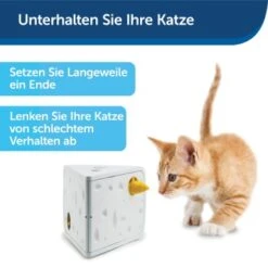 PetSafe Automatisches Katzenspielzeug Cheese -Catit Verkaufsgeschäft 4c112de7fe5af21942e197c5273a2c12e4aecd5f 1418723 de DE ac6350c5fa35502dd40d2834518255dfc3ab3dc68jakb9