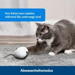 PetSafe Automatisches Katzenspielzeug RoloRat -Catit Verkaufsgeschäft 4e48313abe110e77b48862456b3054c8cbc622dd 1351522 de DE cc35ab35cec54291341f643ff079f60e72f56895BvuHXl