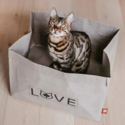 Canadian Cat Company Katzenbett Winnipeg -Catit Verkaufsgeschäft 4f163c23f3c00759be25633fb22100eb50b10eed 1360995 de DE e27163ea0c21fd571c9e22268b69a4d1b68affe5UBt2yy