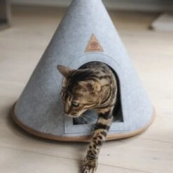 Canadian Cat Company Katzenzelt Cone -Catit Verkaufsgeschäft 5109d27ef761061b6b743871ab0498da3478f504 1394210 de DE f112ffaf078c6f8bf03764511a0d90aab2c21021HdDAgd
