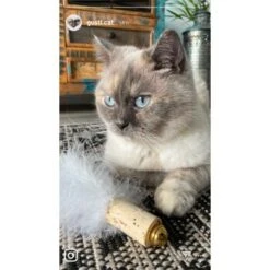 Kater Kasimir Deluxe Set Mit 9 Beliebten Katzenspielzeugen Aus Naturmaterial Und Handgemachtem CATMOM Armband -Catit Verkaufsgeschäft 53dfde9e2fe82dcabccac0c3ca73172551111df6 1408141 de DE 911e17a5e45692f3789ac8bc9aee946048898d74cBDD0E