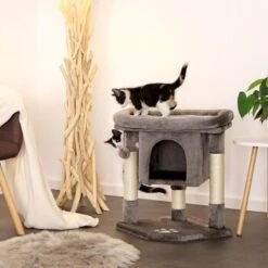 Lionto Kratzbaum 60 Cm Dunkelgrau 11 Lionto Kratzbaum 60 Cm Dunkelgrau -Catit Verkaufsgeschäft 54d2a2b2f0f85b4c59d70d90b3af4b4a58719f22 1657014 de DE 61b72444bd03e0597d0ec1256f587f38f03d3f6dXYdqkl