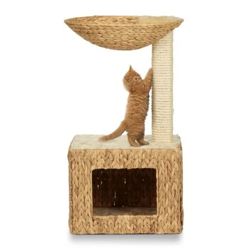 Silvio Design Wohnboy Casa 3 Silvio Design Wohnboy Casa