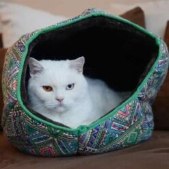 Canadian Cat Company Katzentunnel COSMO M -Catit Verkaufsgeschäft 67f448259cbca2b76f0f056d6321e3f462cbbfb2 1412665 de DE 5bb2b25340ddb934c05b11da4b3410ce26fcf1f8fEc8B6