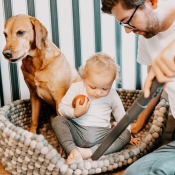 THOMAS AQUA+ Pet & Family Parquet Pro 5 THOMAS AQUA+ Pet & Family Parquet Pro – Bild 3