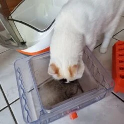 THOMAS Staubsauger -Catit Verkaufsgeschäft 6a70c632a0bab42059bec4b43d139a5d2e40f9ae 1406733 de DE e7e44b3ec14bf6f4d989c5887e4e07bdd5895c48xakBwm