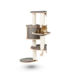 Kerbl Wandkratzbaum Dolomit Tofana Pro -Catit Verkaufsgeschäft 6ae62be756bc7ec8e74420006c284e5802eef044 34e007e7ac4b4414181b3e18212b06b315186d2c