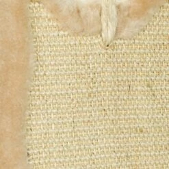 Trixie Kratzbrett Katze -Catit Verkaufsgeschäft 6bec3f52532ee767f3254644d87ff7a98573c834 6428ff49d743c3319b146c136bd1c5223729bd87