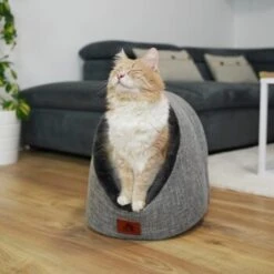 Schlitzohr Katzenhöhle Oskar Grau -Catit Verkaufsgeschäft 6dc322d0c0c691311c750126461acbb0bfd7f106 1484676 de DE cf48f7f4d140da3e59fb3189e3029debd29d4937tKSJNT