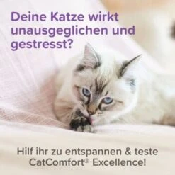 Beaphar CatComfort Excellence Starter-Kit 48ml -Catit Verkaufsgeschäft 6fdca6f354e1543df4c6d643f7d274cd6651ccda 1416646 1 2