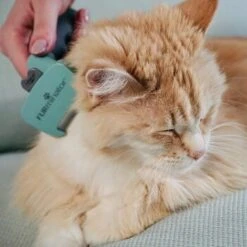 FURminator Katze S Kurzhaar -Catit Verkaufsgeschäft 71392361e3c4ac38597c85a9945bda1e0f308377 87a6712dfad8cb52ea9fe53fb4ac4e7bf52a4581