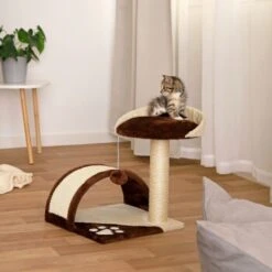 Lionto Kratzbaum Höhe 43 Cm Braun/ Beige -Catit Verkaufsgeschäft 731e3c33fcb667d66ff727bb63814b5ce888c519 1651773 de DE 0ba297da15fdf41ea5a8788c803a11c8eef1c103muQtWx