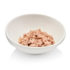 Canadian Cat Company Futterbar Cat Diner -Catit Verkaufsgeschäft 7374ea0a9e3fe9347681d73e38cfddf88778c4d9 1345694 de DE 736a30d8934edf90c8b01e1b34a29dff5e81dab2o6VK2t