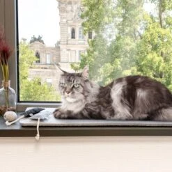 Canadian Cat Company Filzmatte Für Fensterbank Hellgrau S -Catit Verkaufsgeschäft 7885f06a61233bc404e6a3aa7f8cd882fde8d497 1498575 de DE 613cf8659fcca6edb1e226239a406f420c510b04Tro7m3