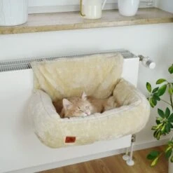 Schlitzohr Heizungsliege Lucky Beige -Catit Verkaufsgeschäft 7bab29708c56b6f70695735987b821094f74efb9 1484673 de DE 775053056e82816b2424b888f536a523a0880ea7ZfMupV