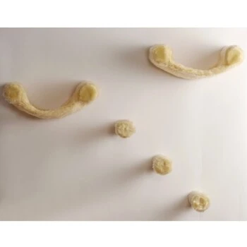 Silvio Design Katzen-Kletterwand Finja 5-teilig 3 Silvio Design Katzen-Kletterwand Finja 5-teilig