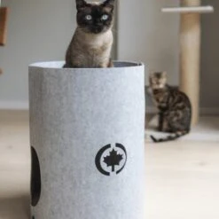 Canadian Cat Company Filzbett Owen-Tower -Catit Verkaufsgeschäft 7de15b7ab3d0a3da50a54b91f1a6b746b12be302 1394209 de DE 768a45a9be27cfd0fb27e1bf0942b4e67e500c7ee16ity