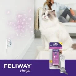 Feliway Help! 3x Nachfüllkartusche Zur Stressreduzierung -Catit Verkaufsgeschäft 83d8bd2d632495b4f07a2b518043ffffb0104261 1380137 3
