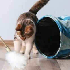 Kater Kasimir Premium Paket Mit 7 Beliebten Katzenspielzeugen Aus Naturmaterial -Catit Verkaufsgeschäft 84f221d79ef76f1b4f2f0037d329c11c6fce3a33 1408152 de DE 294269527f07b1898ca7562c986e956043828d3cA8xBpO