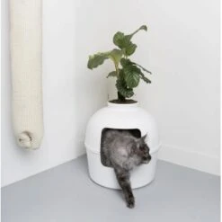RHR Quality Katzentoilette Flower XXL -Catit Verkaufsgeschäft 93f503e3b5e2d21cc0461e97d9127562df0337e6 1641853 de DE 1e822790dd4545375dbf65f839e659bd6b299a76bokJue