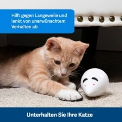 PetSafe Automatisches Katzenspielzeug RoloRat -Catit Verkaufsgeschäft 97df3eec34472f4ac76f2a0bbe4e75fdbbe02b64 1351522 de DE 83c2d308e962c4b6c64101ee39311b3a61647f71n2yR1C